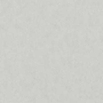 Closeup of a wallpaper showing its Contemporary, Monochrome, Unicolour pattern, color, and texture.