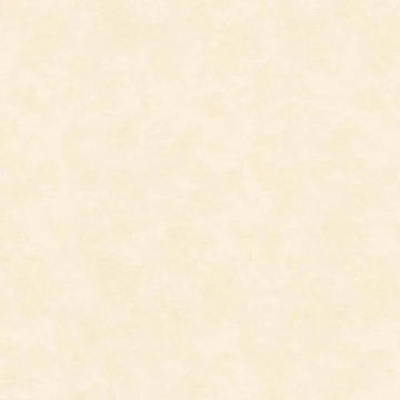 Closeup of a wallpaper showing its Contemporary, Pastels, Unicolour pattern, color, and texture.