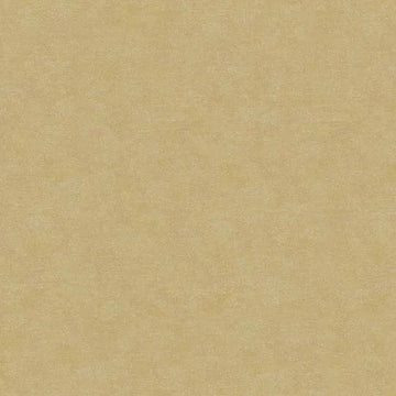 Closeup of a wallpaper showing its Contemporary, Neutrals, Unicolour pattern, color, and texture.