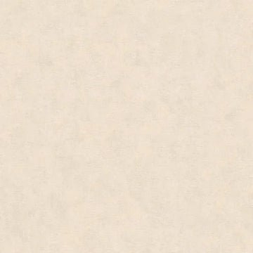 Closeup of a wallpaper showing its Contemporary, Neutrals, Unicolour pattern, color, and texture.