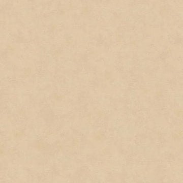 Closeup of a wallpaper showing its Contemporary, Neutrals, Unicolour pattern, color, and texture.