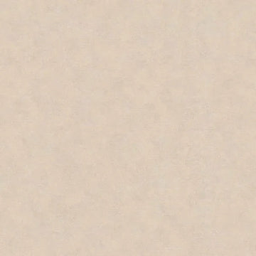 Closeup of a wallpaper showing its Contemporary, Neutrals, Unicolour pattern, color, and texture.