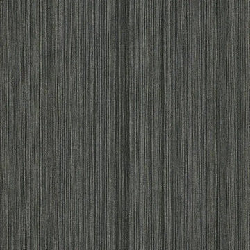 Closeup of a wallpaper showing its Black, Contemporary, Monochrome, Plain, Stripes pattern, color, and subtle texture.