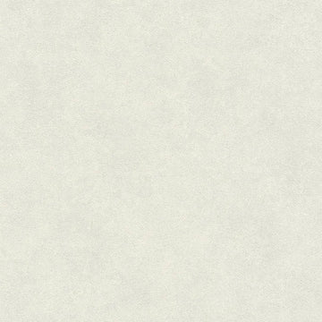 Closeup of a wallpaper showing its Beige, Cream, Grey, Pastels, Plain pattern, color, and subtle texture.