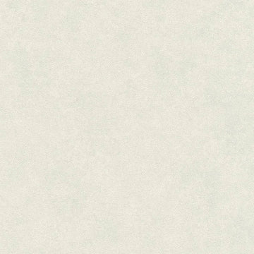 Closeup of a wallpaper showing its Cream, Neutrals, Pastels, Plain, Unicolour pattern, color, and subtle texture.