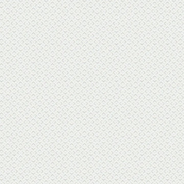 Closeup of a wallpaper showing its Contemporary, Monochrome, Plain, White pattern, color, and subtle texture.