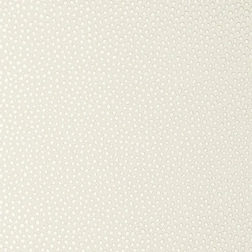 Closeup of a wallpaper showing its Contemporary, Dots, Kids, Pastels, Two-tone pattern, color, and subtle texture.