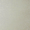 Closeup of a wallpaper showing its Best-Seller, Contemporary, Dots, Kids, Neutrals, Two-tone pattern, color, and subtle texture.
