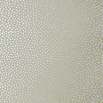 Closeup of a wallpaper showing its Best-Seller, Contemporary, Dots, Kids, Neutrals, Two-tone pattern, color, and subtle texture.