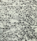 Closeup of a wallpaper showing its Luxury, Monochrome, Textures, Vinyl pattern, color, and subtle texture.