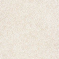Closeup of a wallpaper showing its Dots, Neutrals pattern, color, and subtle texture.