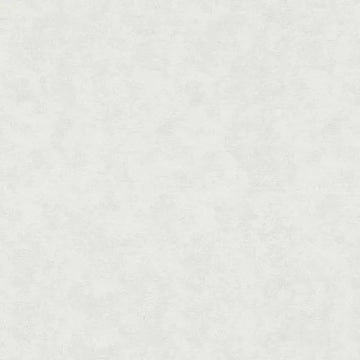 Closeup of a wallpaper showing its Contemporary, Monochrome, Unicolour pattern, color, and texture.