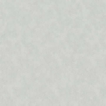 Closeup of a wallpaper showing its Contemporary, Pastels, Unicolour pattern, color, and texture.