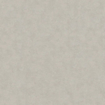 Closeup of a wallpaper showing its Contemporary, Neutrals, Unicolour pattern, color, and texture.