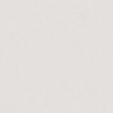 Closeup of a wallpaper showing its Contemporary, Neutrals, Unicolour pattern, color, and texture.