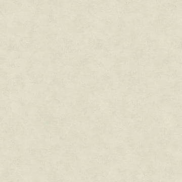 Closeup of a wallpaper showing its Contemporary, Neutrals, Unicolour pattern, color, and texture.