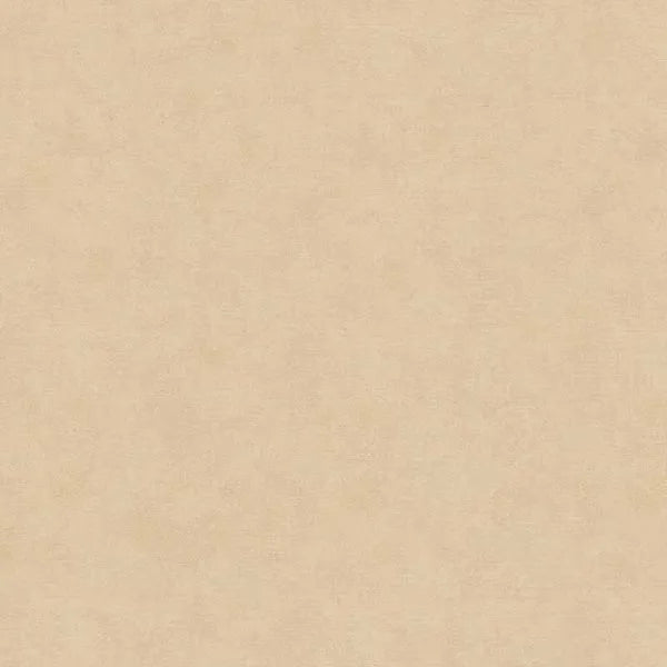 Closeup of a wallpaper showing its Contemporary, Neutrals, Unicolour pattern, color, and texture.