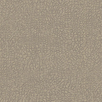 Wallpaper installed in a room showing its full pattern, color