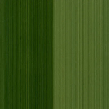 Closeup of a wallpaper showing its Contemporary, Green, Stripes, Two-tone pattern, color, and subtle texture.